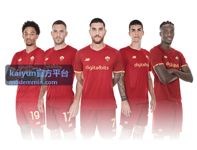 kaiyun官方平台 分类栏目细化解读图